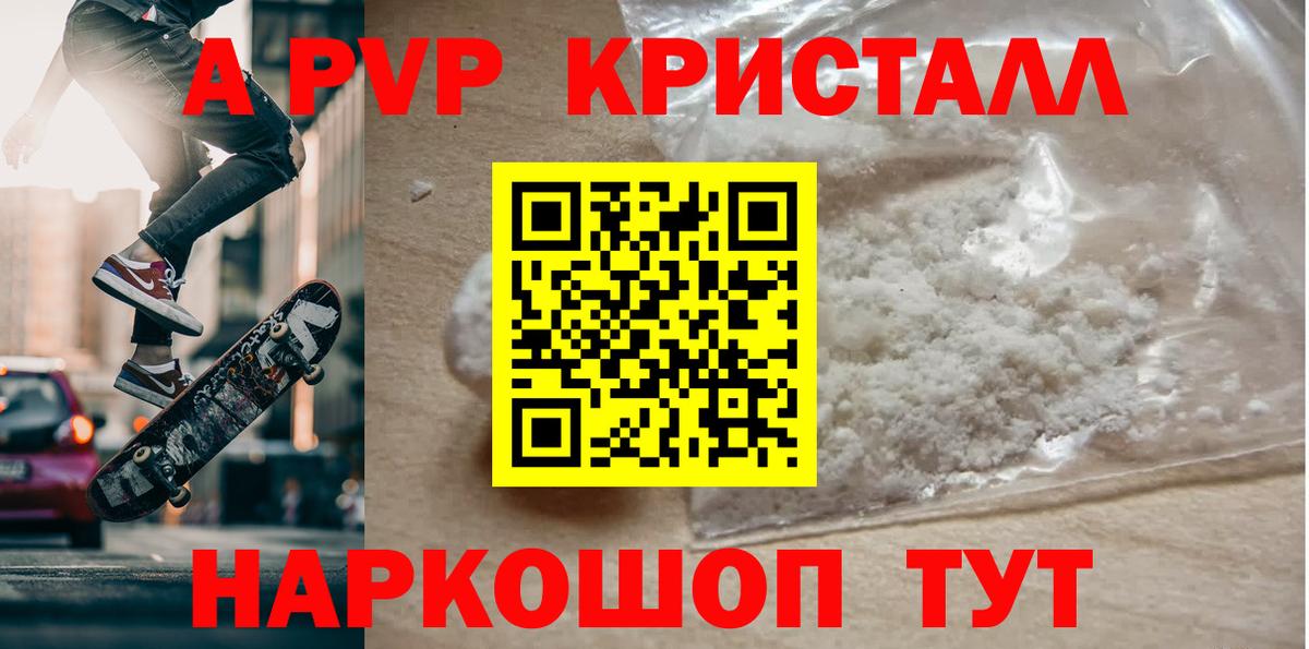 Alfa_PVP СК КРИС Кизилюрт