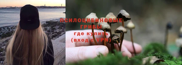СК Кинешма