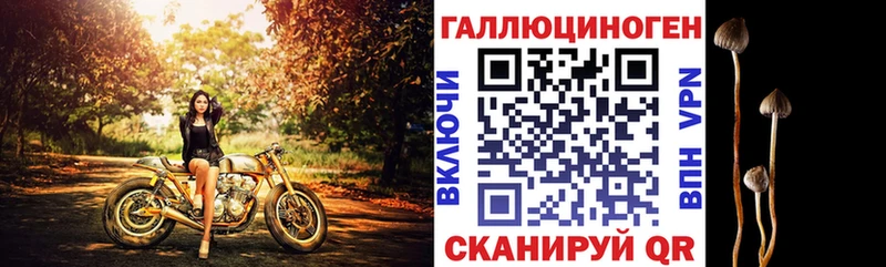 Купить закладки  Кизилюрт  Галлюциногенные грибы мицелий 