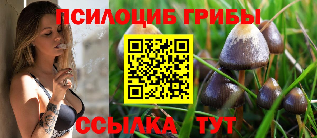 Псилоцибиновые грибы Psilocybine cubensis  Галлюциногенные грибы Magic Shrooms  Кизилюрт 