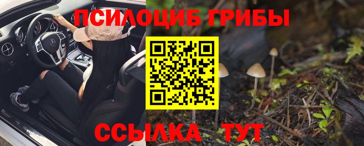 Псилоцибиновые грибы MAGIC MUSHROOMS Кизилюрт