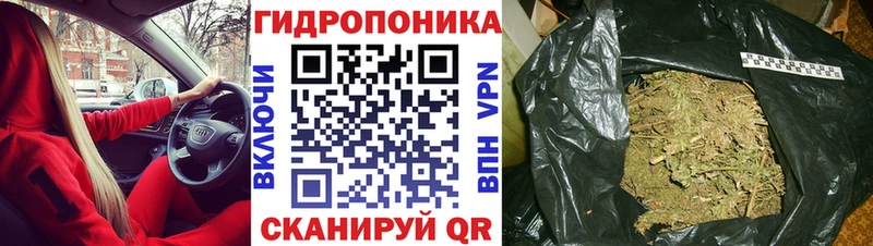 Купить закладки  Кизилюрт  Шишки марихуана AK-47 