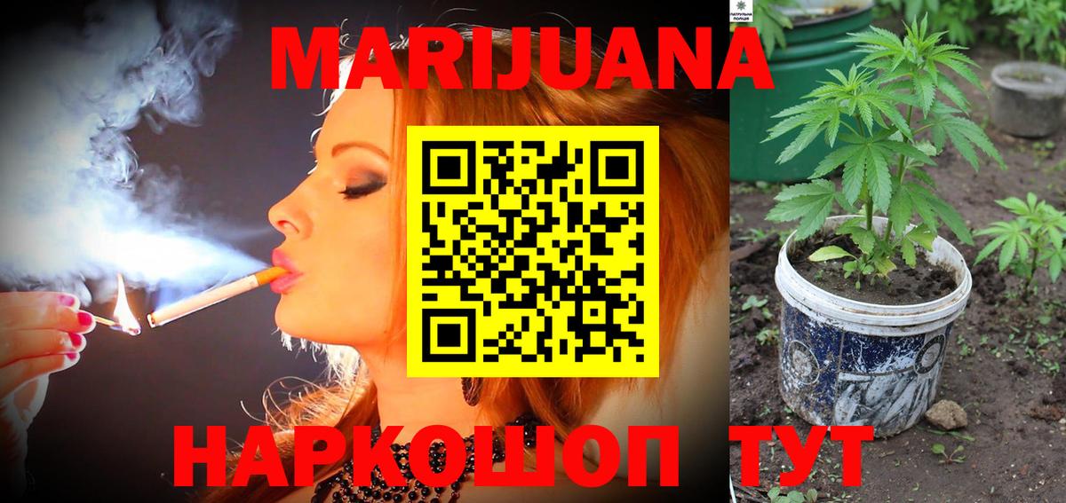 Бошки Шишки конопля Кизилюрт